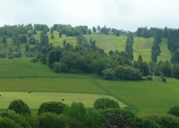 Апартаменты Kleines Ritz *